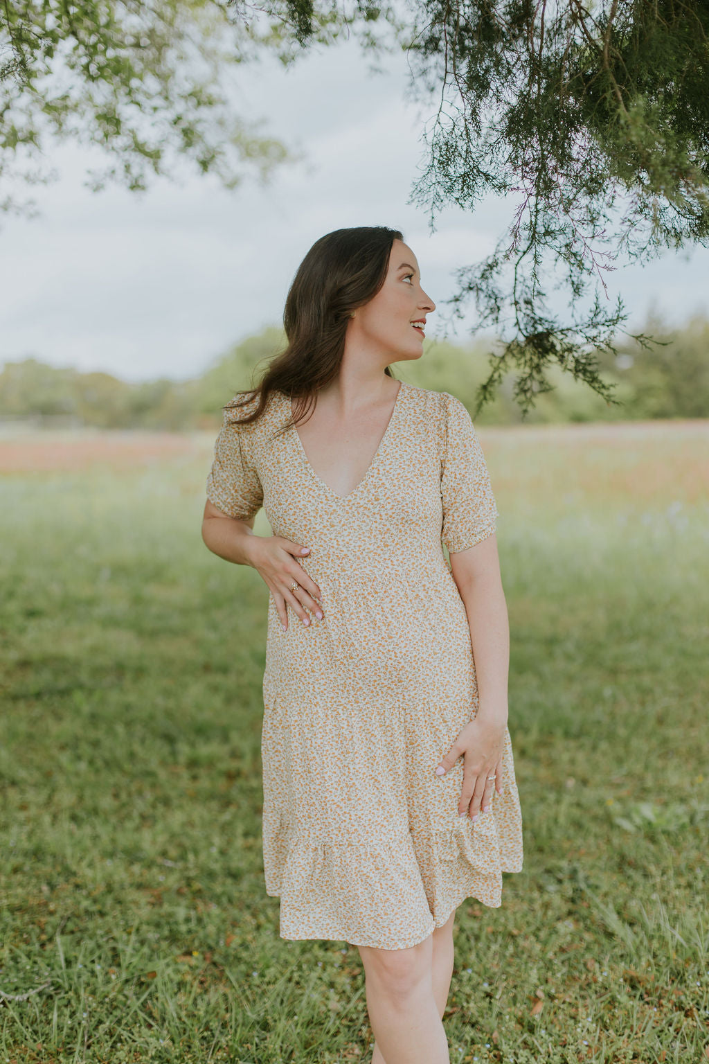 Clementine dress Restock
